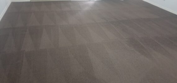 carpet steam cleaning carpet steam cleaning