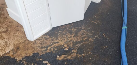 20231206_150850 20231206_150850